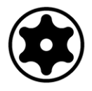 Empreinte TORX® Tamper Resistant