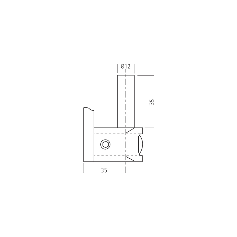 gond-a-visser-diam-12-638f5a943a106724900048.jpg