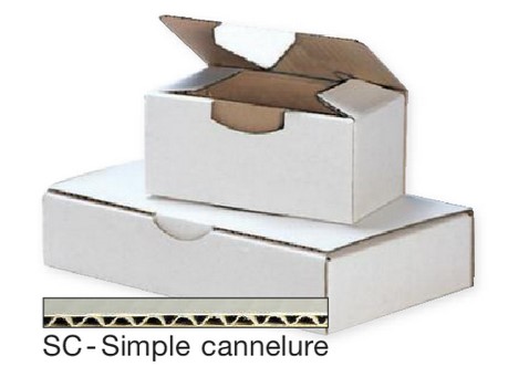 lot-50x-boites-postale-carton-1-645b5b71e1d4e1.13051612.jpg
