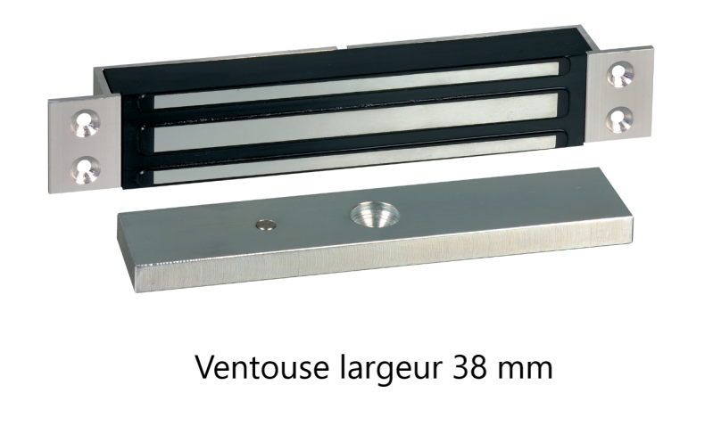 ventouse-ef300-a-enc-12-24v-300kg-signal-63ab649347428677535863.png