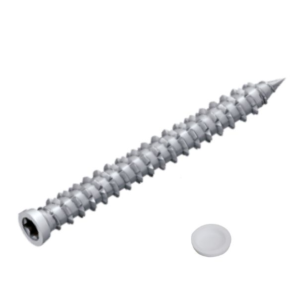 vis-beton-menuiserie-alu-3-67dc185062f062.54108035.jpg