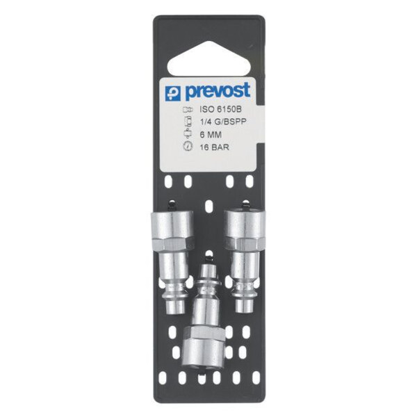Embout filetage femelle cylindrique g1/4 (par 3)