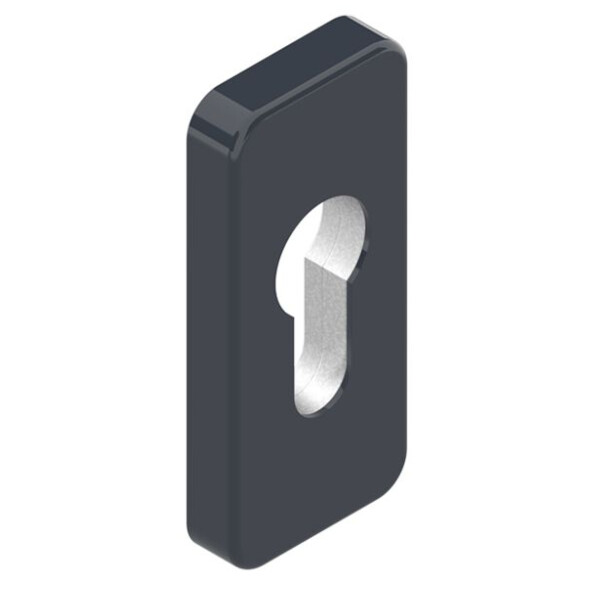 Entrée de cylindre à visser