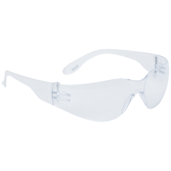 Lunette de protection brava2 clear
