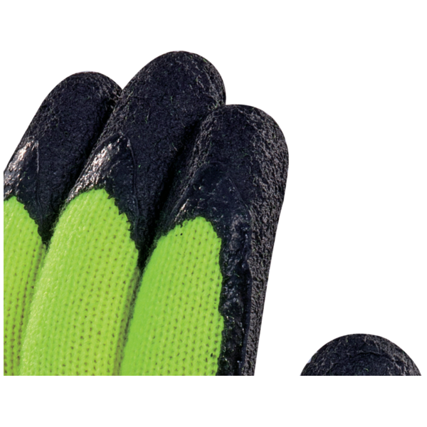 Gant apollon winter vv735