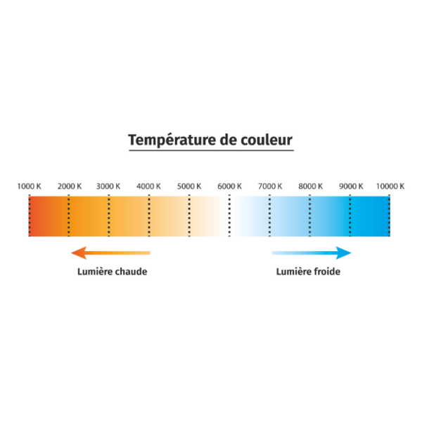 Lampe portable led hl 300