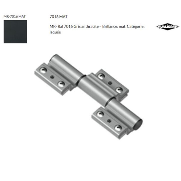 Paumelle 3 lames Monza - CE - (Présentation) Paumelle 3 lames monza - ce -