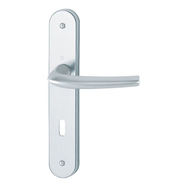 Poignée de porte large san  diego entraxe 195mm