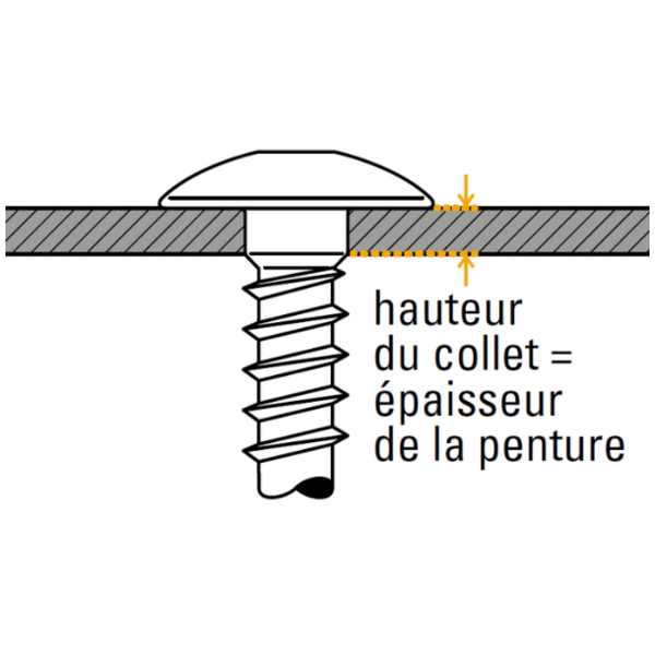 Vis penture  torx