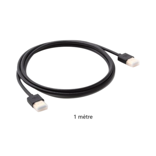 Câble HDMI Visiotech