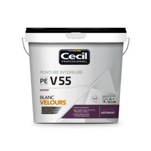 PEINTURE DE FINITION QUALITE PRO EXPERT 55 V33 - Cecil