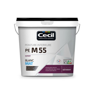 PEINTURE DE FINITION QUALITE PRO EXPERT 55 V33 - Cecil
