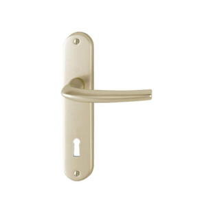 POIGNÉE DE PORTE LARGE SAN DIEGO ENTRAXE 165MM Hoppe