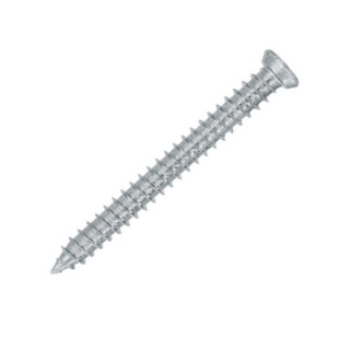 VIS AUTO TARAUDEUSES WHO TF TORX 30 (BOITE DE 100) Rawl