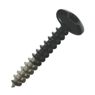 Vis inox pour penture Torbel