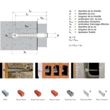 Cheville nylon + vis tête large