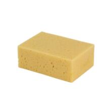 EPONGE NORMALE EPN (vignette) Eponge normale epn