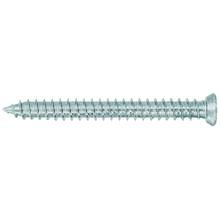 Vis auto taraudeuses who tf torx 30 (boite de 100)