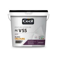 Peinture de finition qualite pro expert 55
