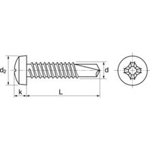 Vis autoperceuse inox tc phillips