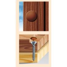 Vis bois capuchon pz tf ft zg blc x500